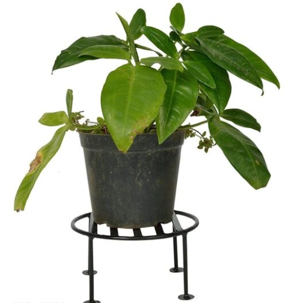   Circle Iron  Pots& Planter Stand It will give any place a splendid look and a dash of style Pack  of 4 -  Free Size, Black, Iron,  Pack of 2, Round